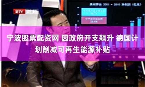 宁波股票配资网 因政府开支飙升 德国计划削减可再生能源补贴