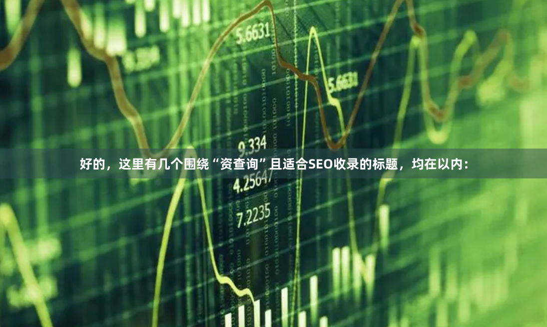 好的，这里有几个围绕“资查询”且适合SEO收录的标题，均在以内：